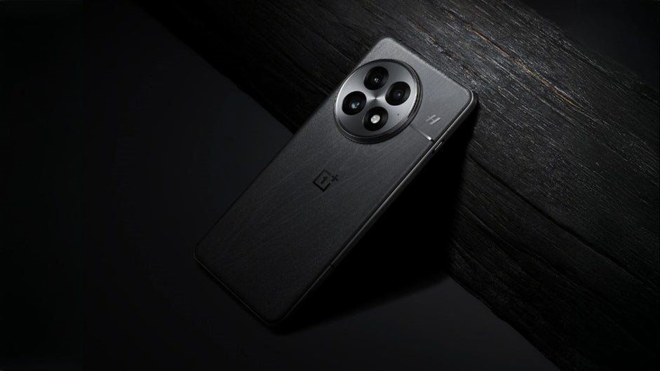  OnePlus 13