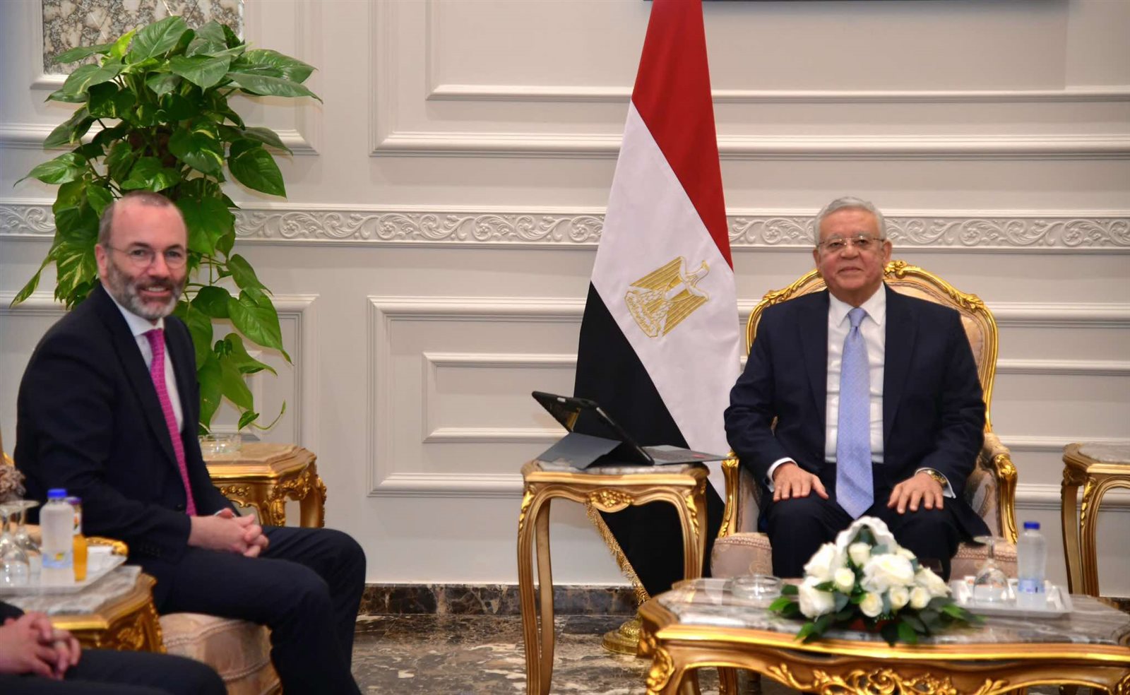 المستشار الدكتور حنفي جبالي