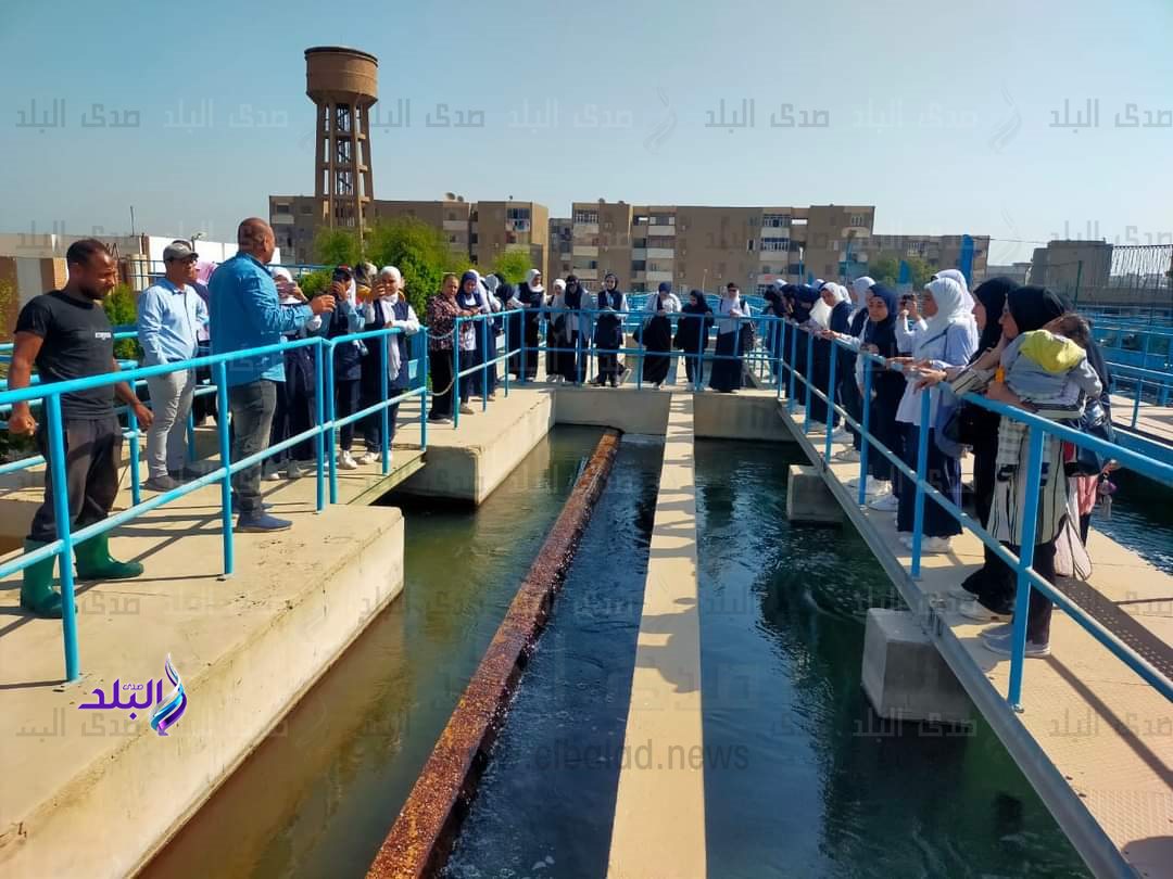 FB_IMG_1730359110744