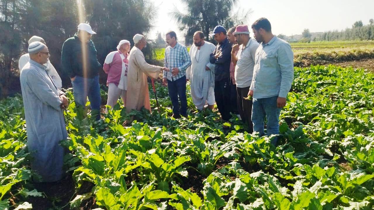 محافظة البحيرة