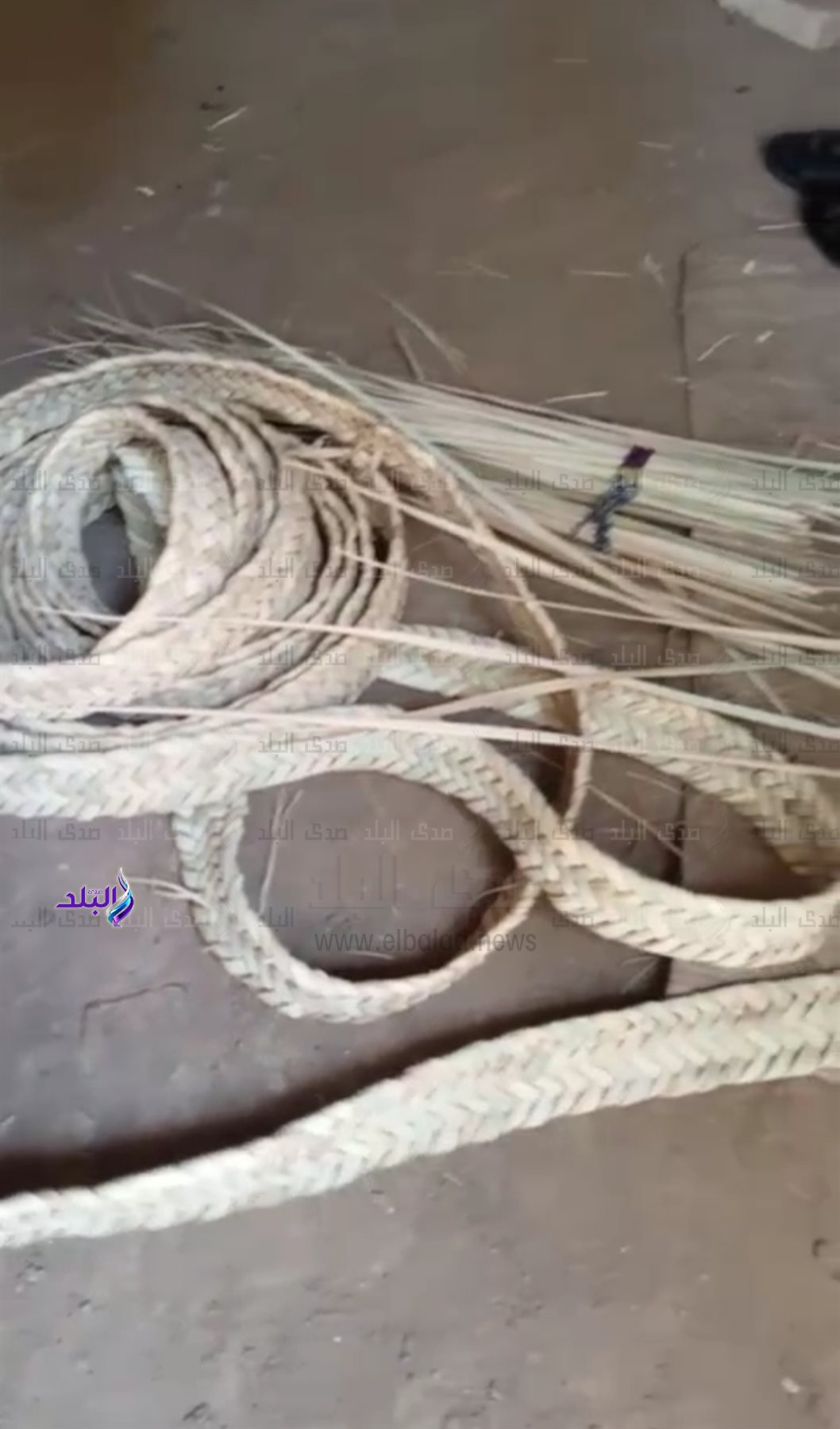 IMG_٢٠٢٤١١١٢_٠٩١٦٠٩