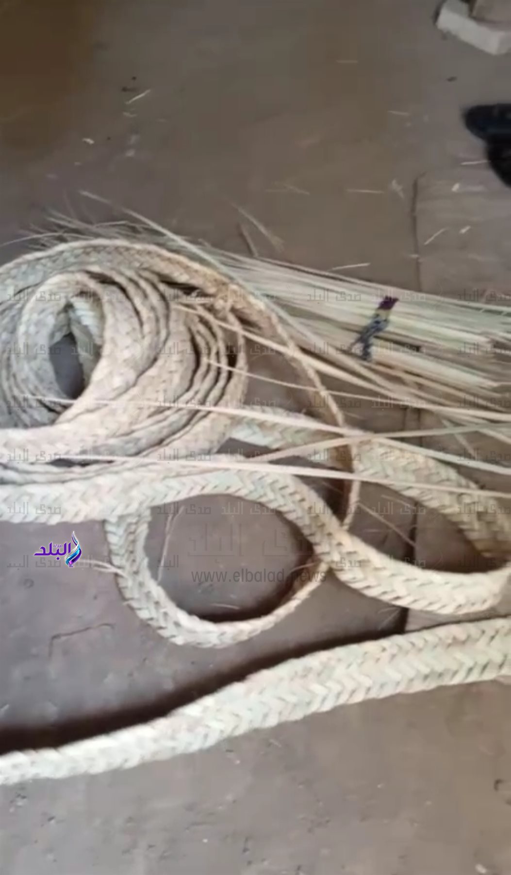 IMG_٢٠٢٤١١١٢_٠٩١٥٤٧