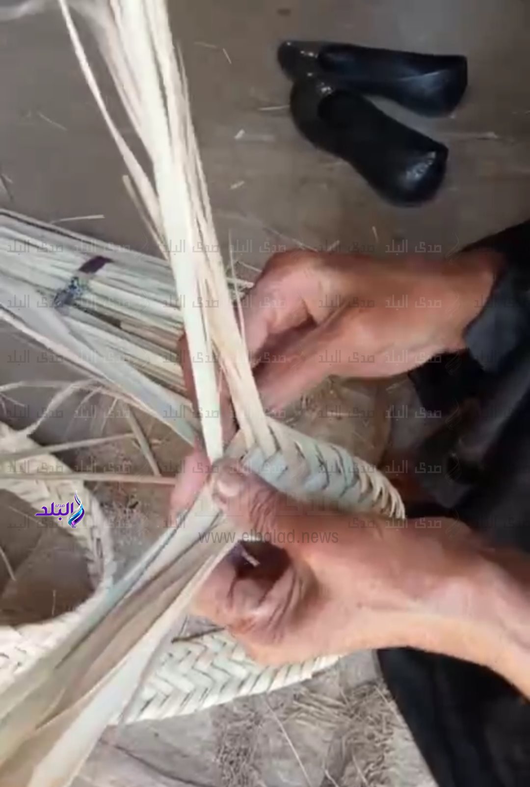 IMG_٢٠٢٤١١١٢_٠٩١٥١٨