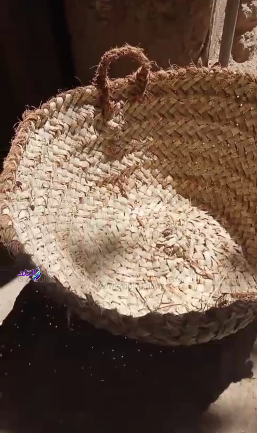 IMG_٢٠٢٤١١١٢_٠٩١٤٣٨