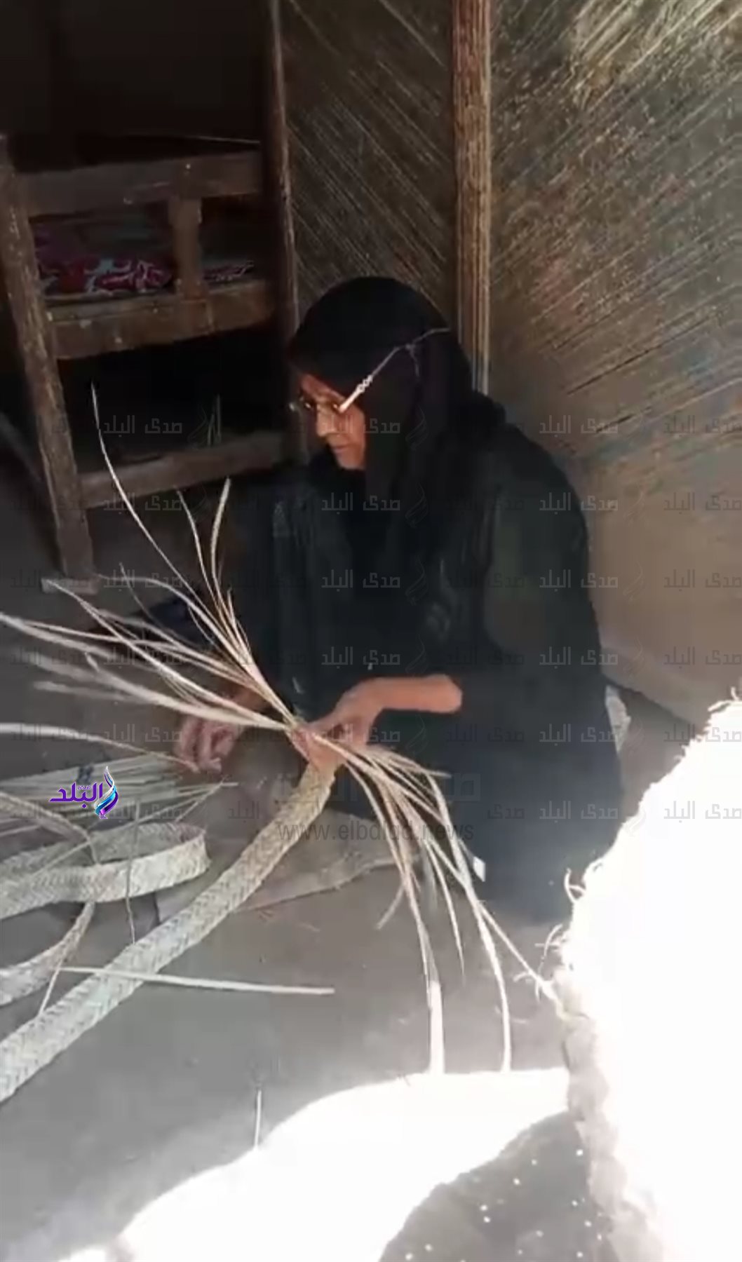 IMG_٢٠٢٤١١١٢_٠٩١٣١٠