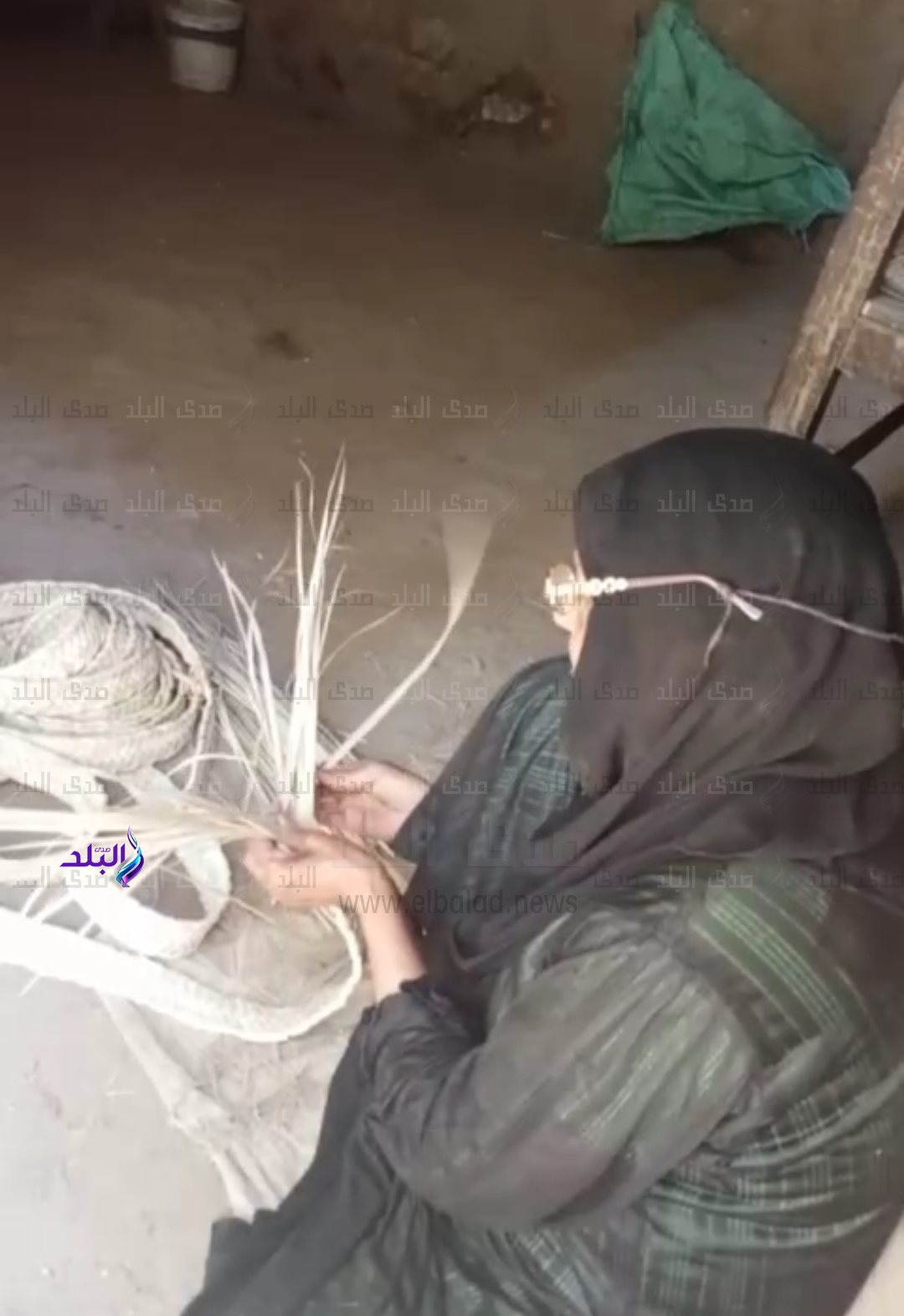 IMG_٢٠٢٤١١١٢_٠٩١١٤٨