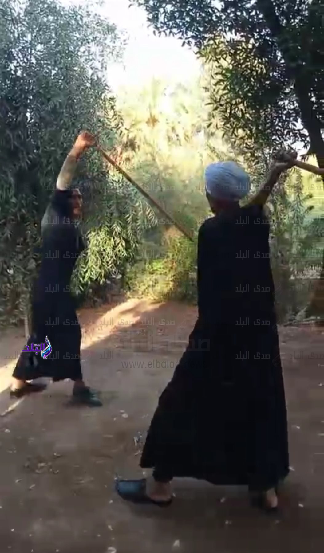 IMG_٢٠٢٤١١١٣_٠٨١٢٤٩