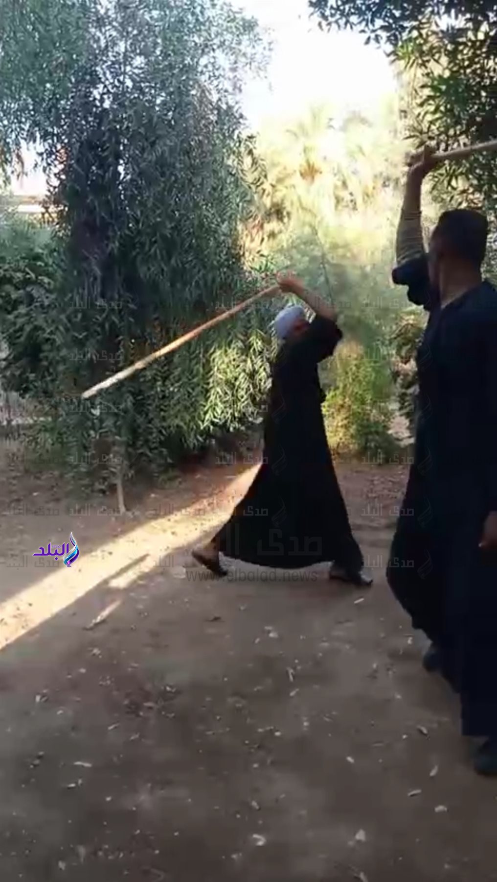 IMG_٢٠٢٤١١١٣_٠٨٠٩٤٨