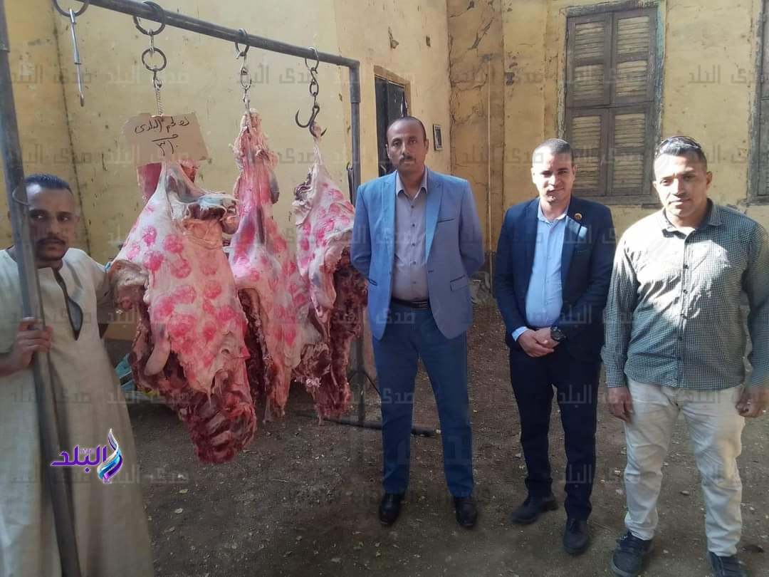 FB_IMG_1731586221653