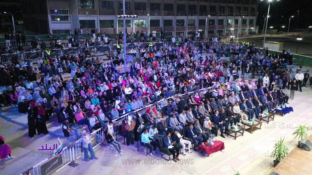 الملتقى الفنى (4)