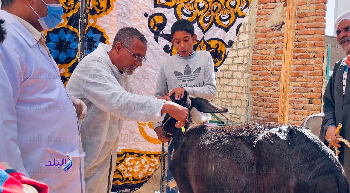 قافلة بيطرية (1)