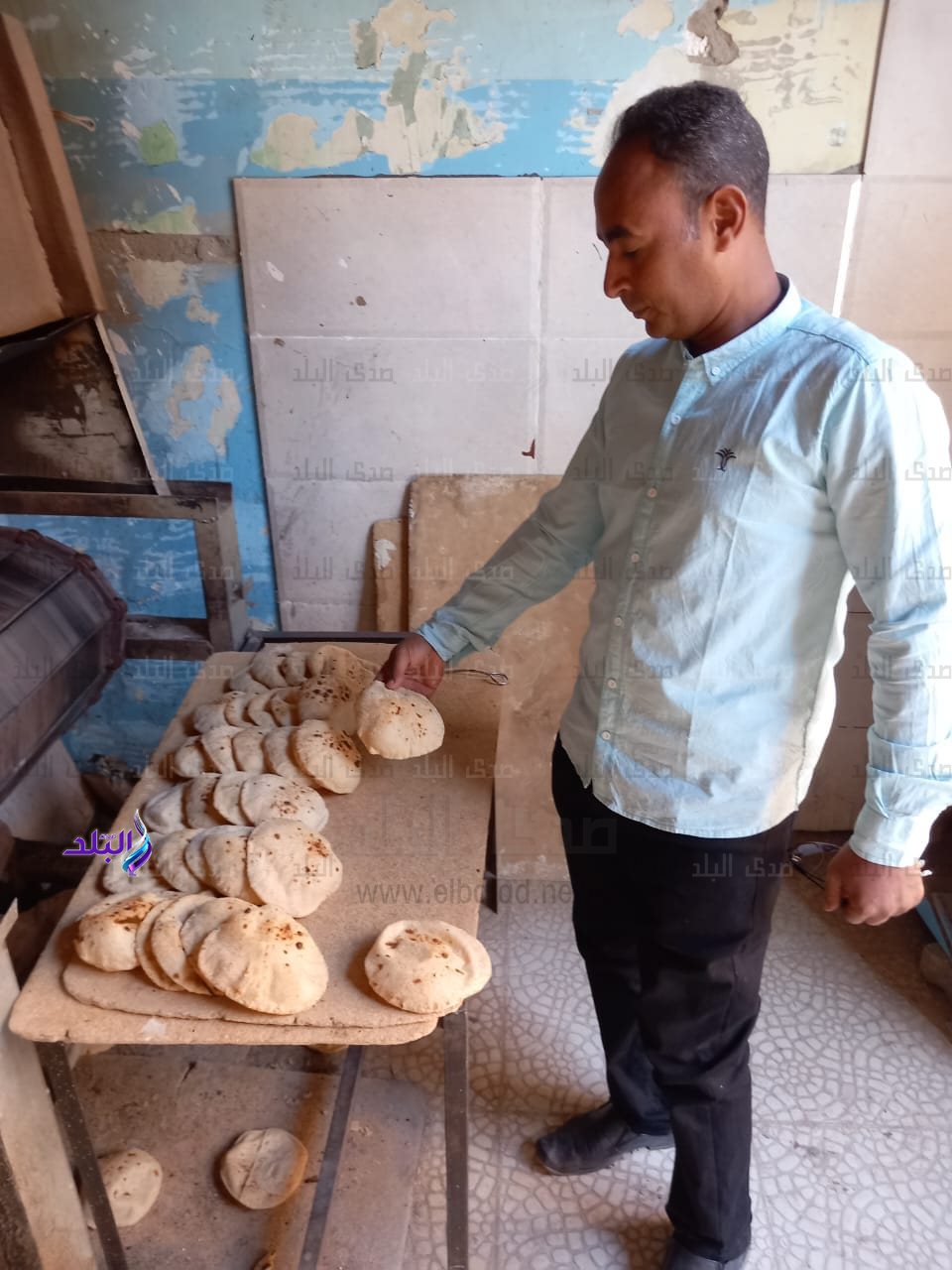 تموين قنا (5)