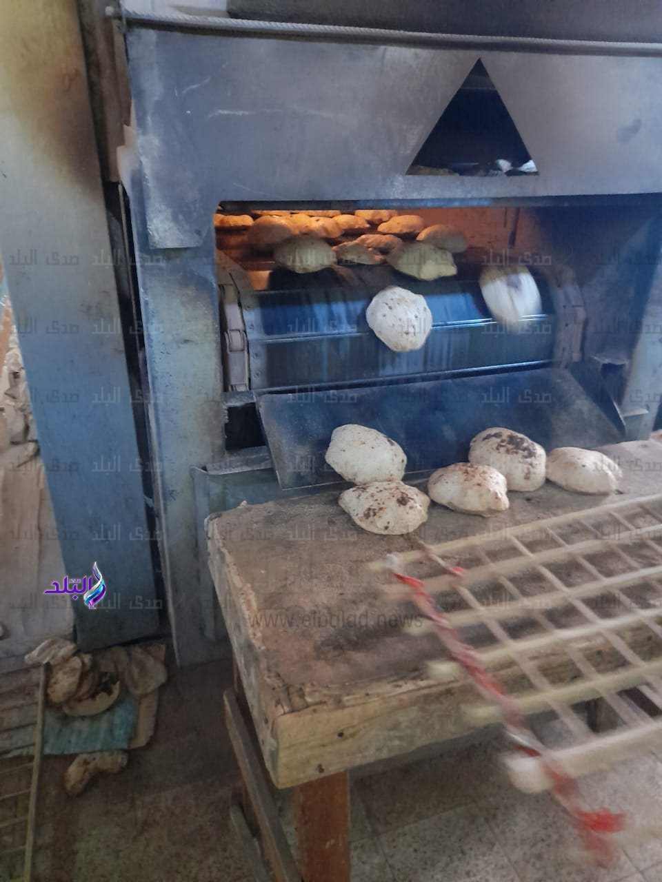 تموين قنا (10)