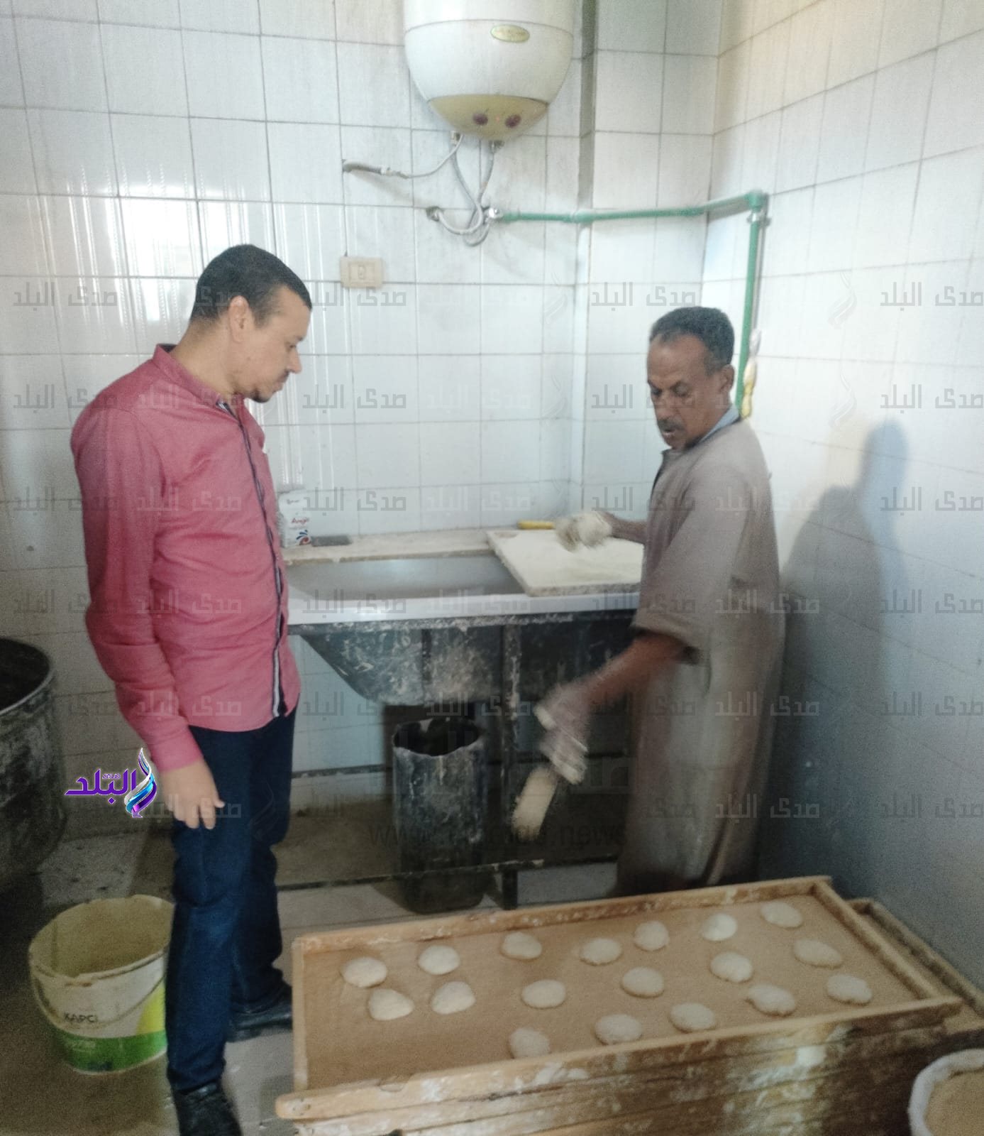 تموين قنا (11)