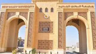 جامعة الوادي الجديد