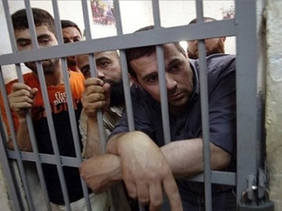 صورة ارشيفية صورة ارشيفية