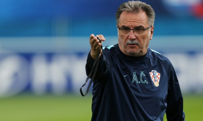 أنتي شاشيتش