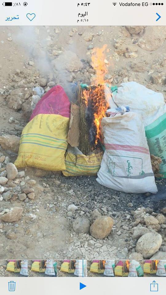  إعدام نصف طن بانجو برأس سدر 