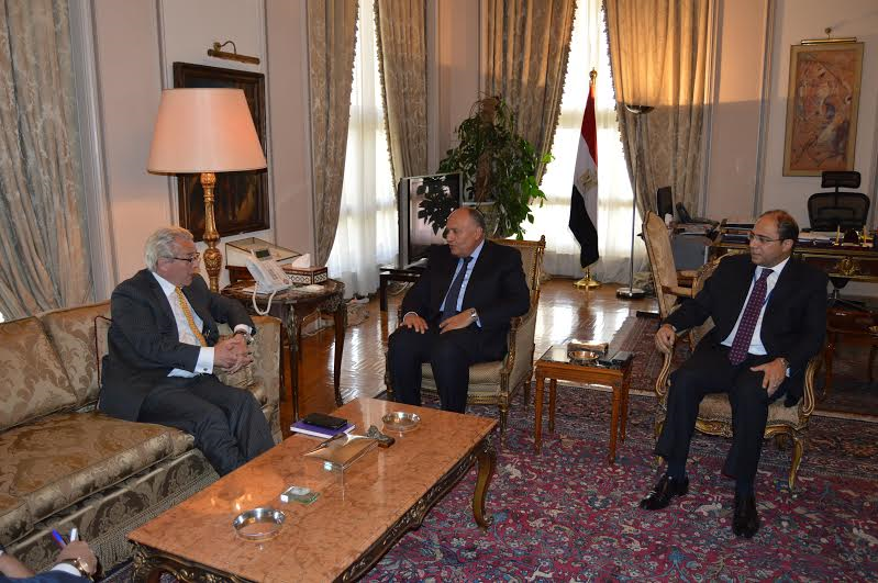 سامح شكري وزير الخارجية