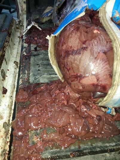 اللحوم الفاسدة 