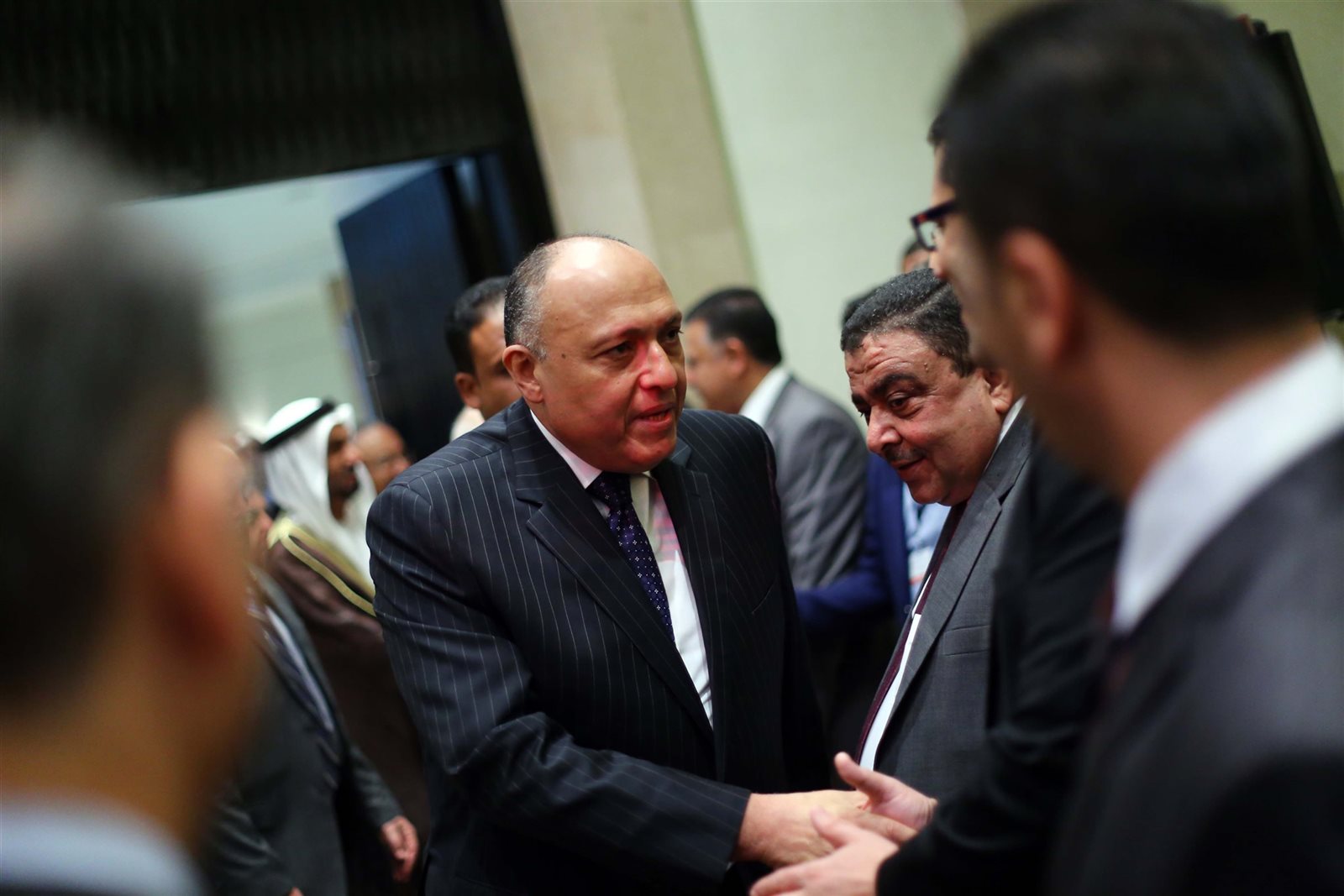 سامح شكري وزير الخارجية المصري