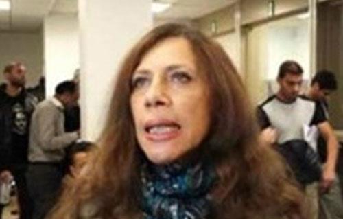 قنصل مصر في باريس السفيرة سيريناد جميل قنصل مصر في باريس السفيرة سيريناد جميل