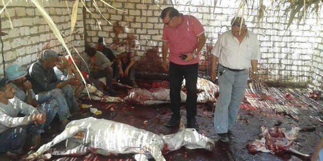 صورة أرشيفية صورة أرشيفية