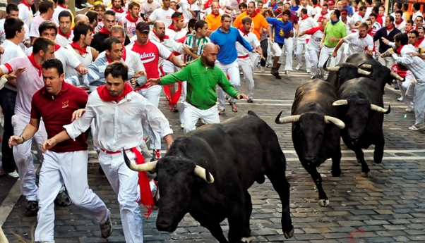 الثيران في إسبانيا