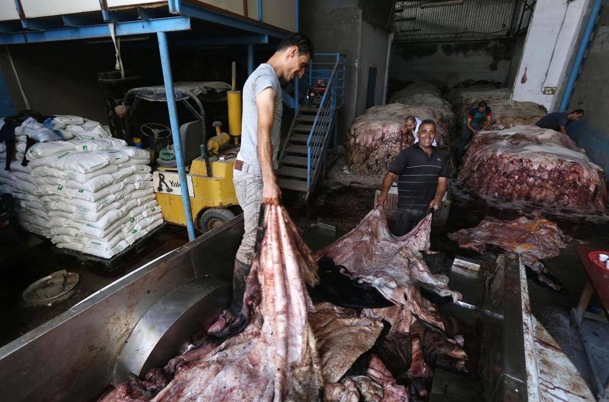 المدابغ إلي مدينة الروبيكي