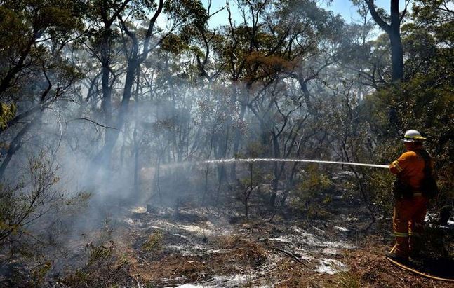 صورة ارشيفية