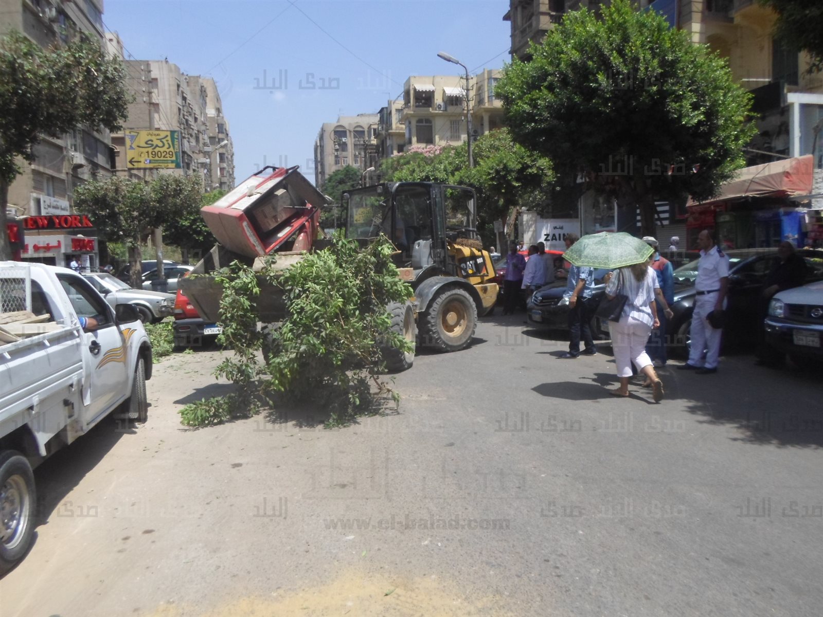 تيمور تيمور