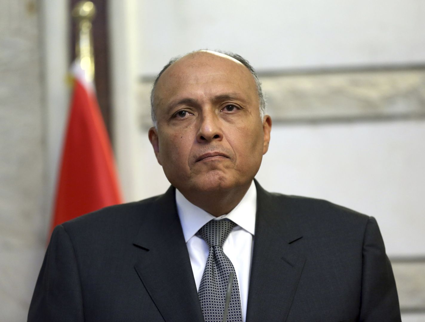 وزير الخارجية سامح شكري وزير الخارجية سامح شكري
