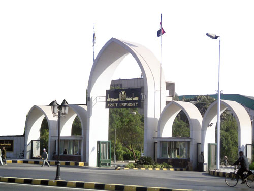 جامعة أسيوط تشارك فى مهرجان دولى شبابى بروسيا جامعة أسيوط تشارك فى مهرجان دولى شبابى بروسيا