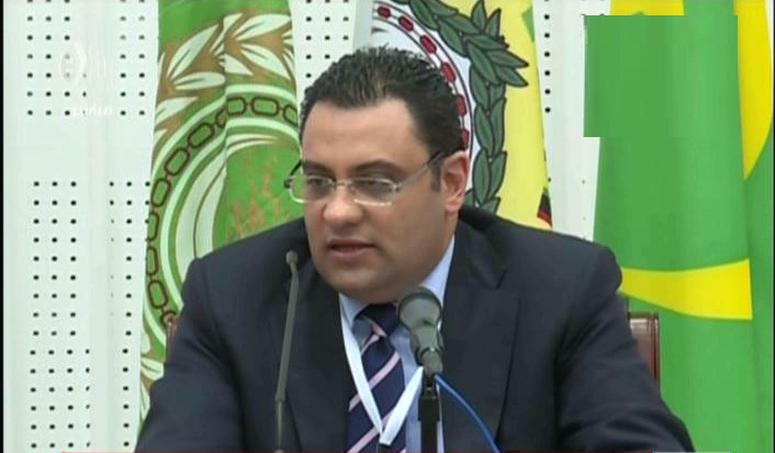 محمود عفيفي ، المتحدث باسم الأمين العام لجامعة الدول العربية