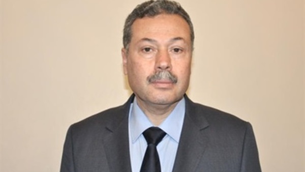 محب الرافعى