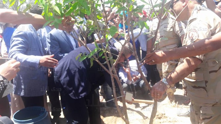 إطلاق مشروع زراعة الأشجار المثمرة بمنطقة سهل الطينة