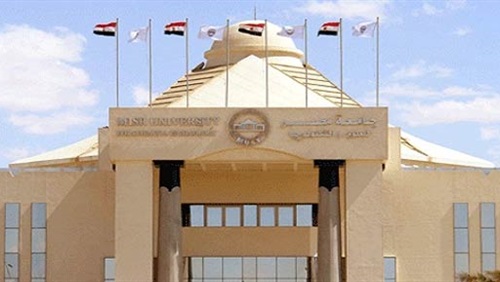 جامعة مصر الدولية جامعة مصر الدولية