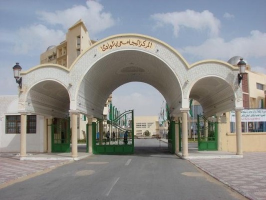 جامعة جنوب الوادي