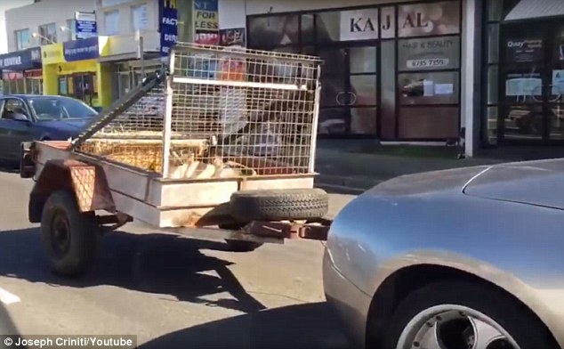 لامبورجينى