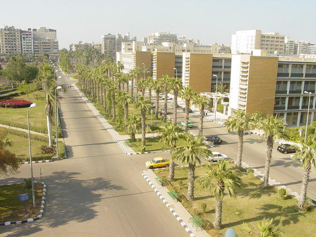 جامعة المنصورة جامعة المنصورة