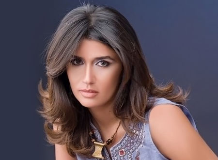 الفنانة غادة عادل الفنانة غادة عادل