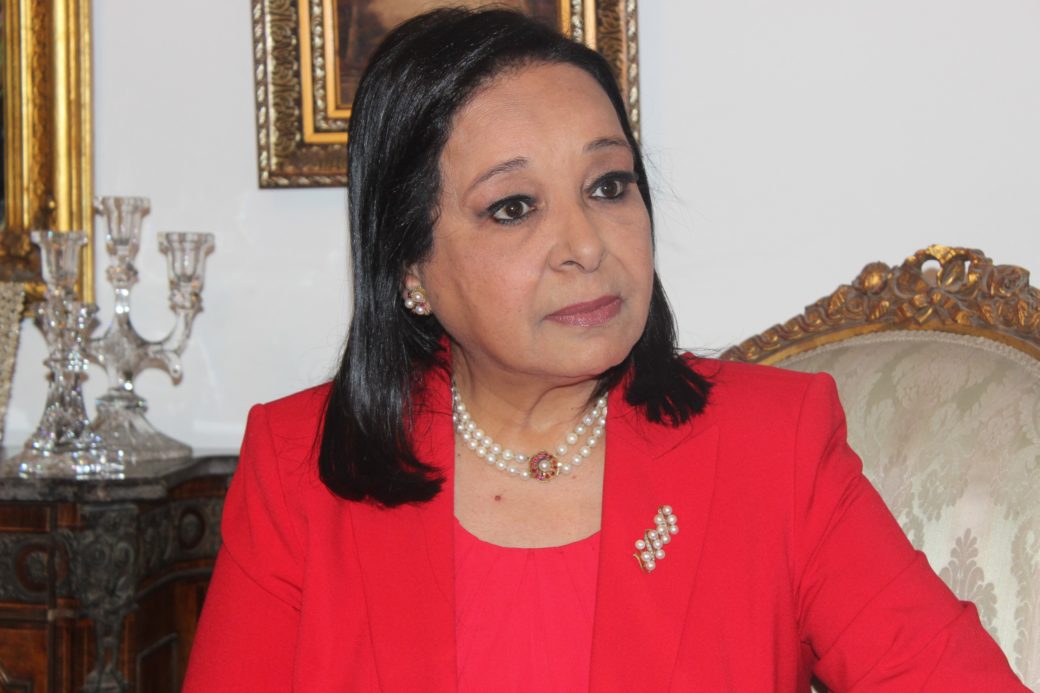 النائبة انيسة حسونة النائبة انيسة حسونة