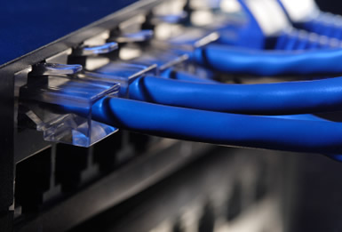 شبكة الإنترنت