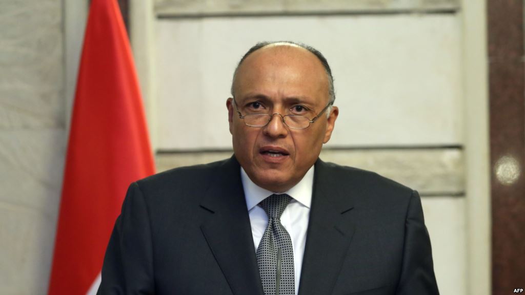وزير الخارجية سامح شكري وزير الخارجية سامح شكري