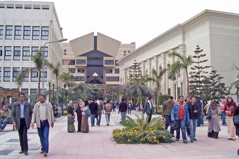 الجامعة المصرية 