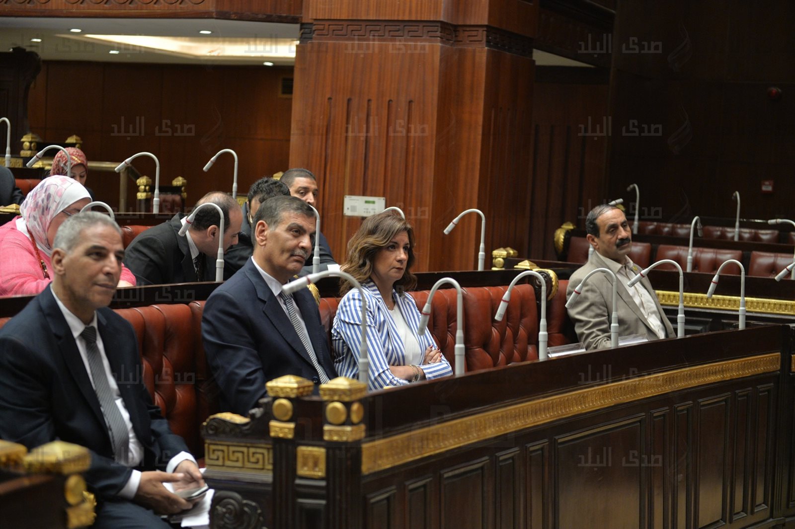 وزيرة الهجرة نبيلة مكرم وزيرة الهجرة نبيلة مكرم