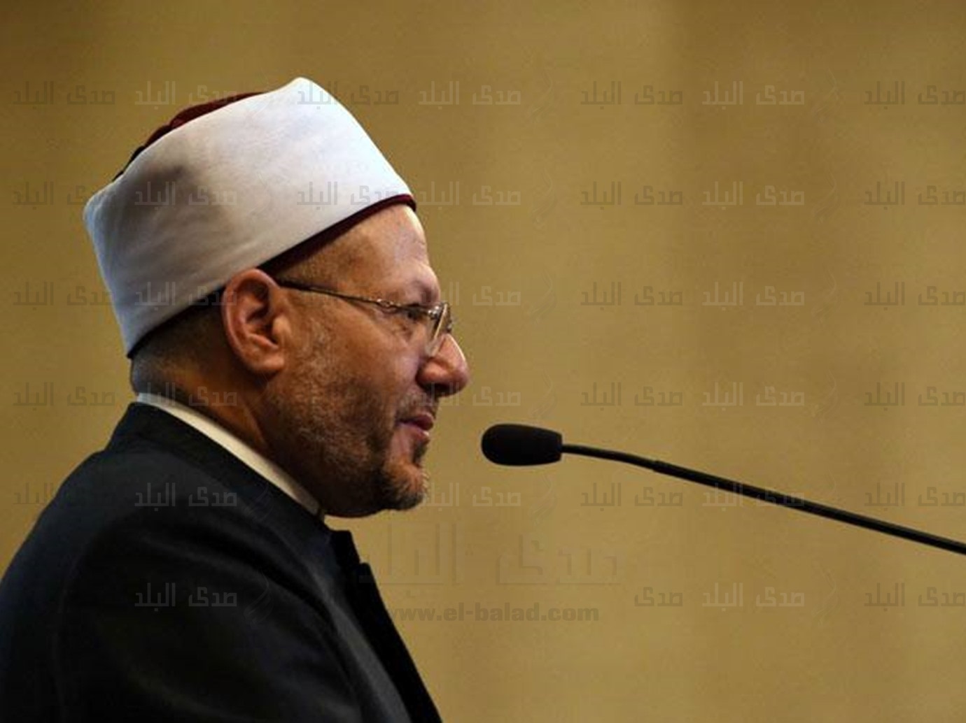 شوقي علام شوقي علام