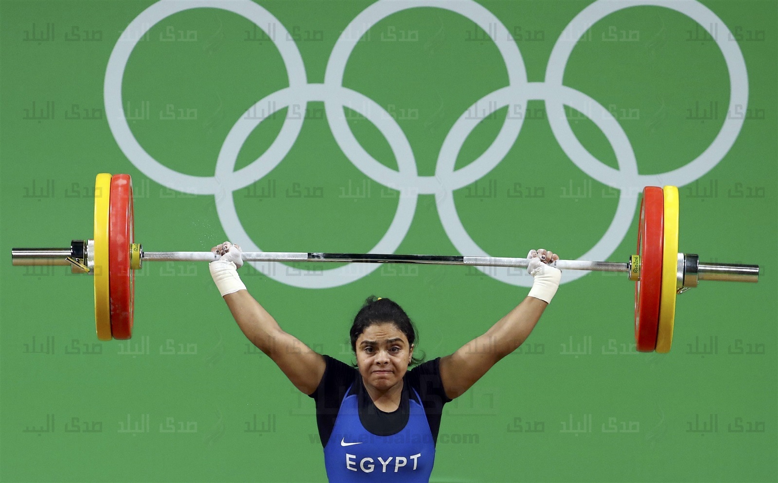 إسراء السيد