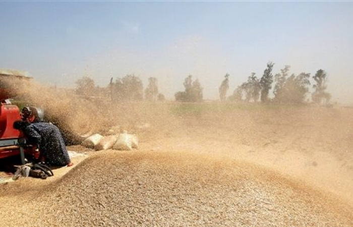 صورة أرشيفية