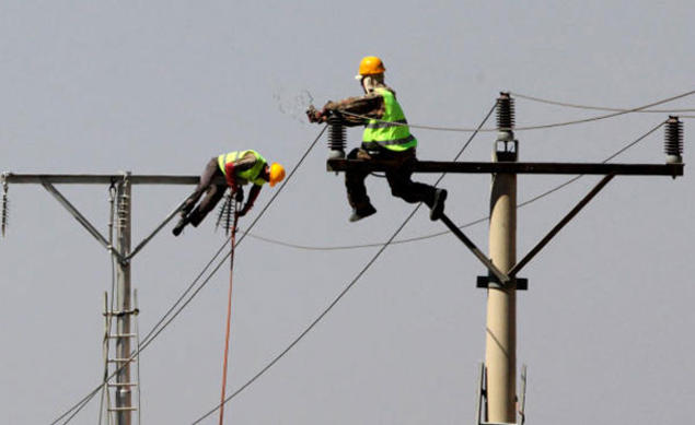 "كهرباء" الإسكندرية تعلن الاستمرار في توزيع لمبات اللبد المو